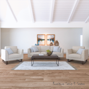 furniture setup 5 seater